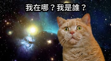 吃葡萄不吐葡萄皮
